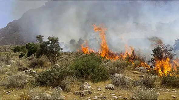 آتش سوزی های سریالی به دماوند رسید!