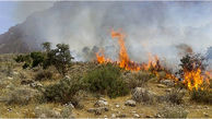 افزایش 40 درصدی خسارت آتش سوزی در جنگل‌های گچساران