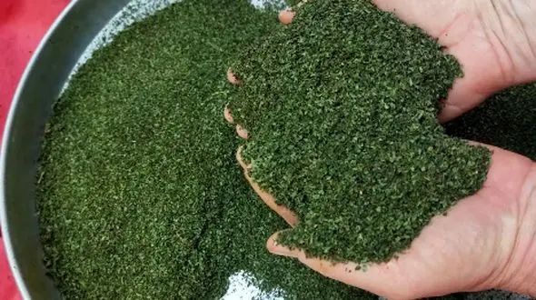 آموزش مرحله به مرحله خشک کردن نعناع تازه در منزل