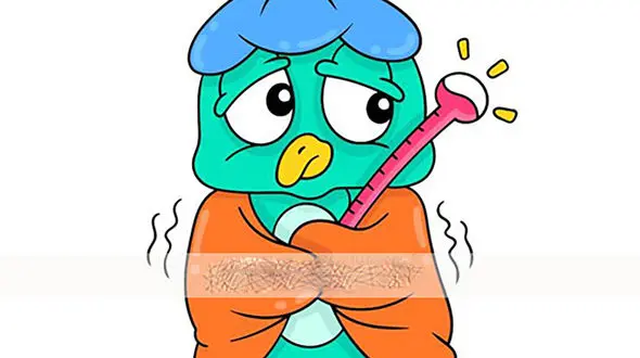 درمان سرماخوردگی عروس هلندی