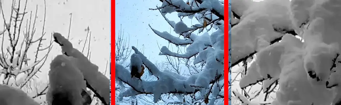 فیلم شدت گرفتن بارش برف در کوهرنگ