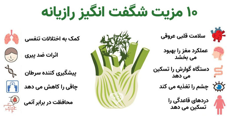 مزایای رازیانه