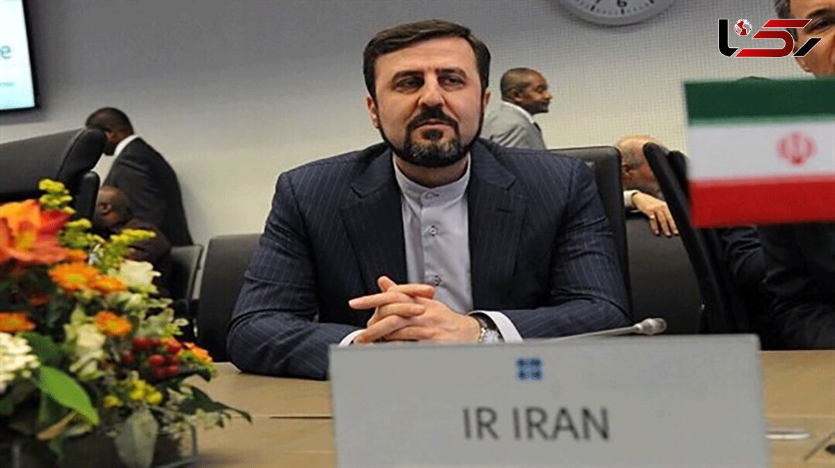 Iran’s envoy to IAEA: Sanction-affected countries to hold virtual seminar