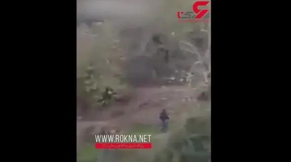 حمله گراز وحشی به یک کوهنورد + فیلم