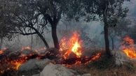 آتش سوزی هزاران هکتار جنگل در سال 99