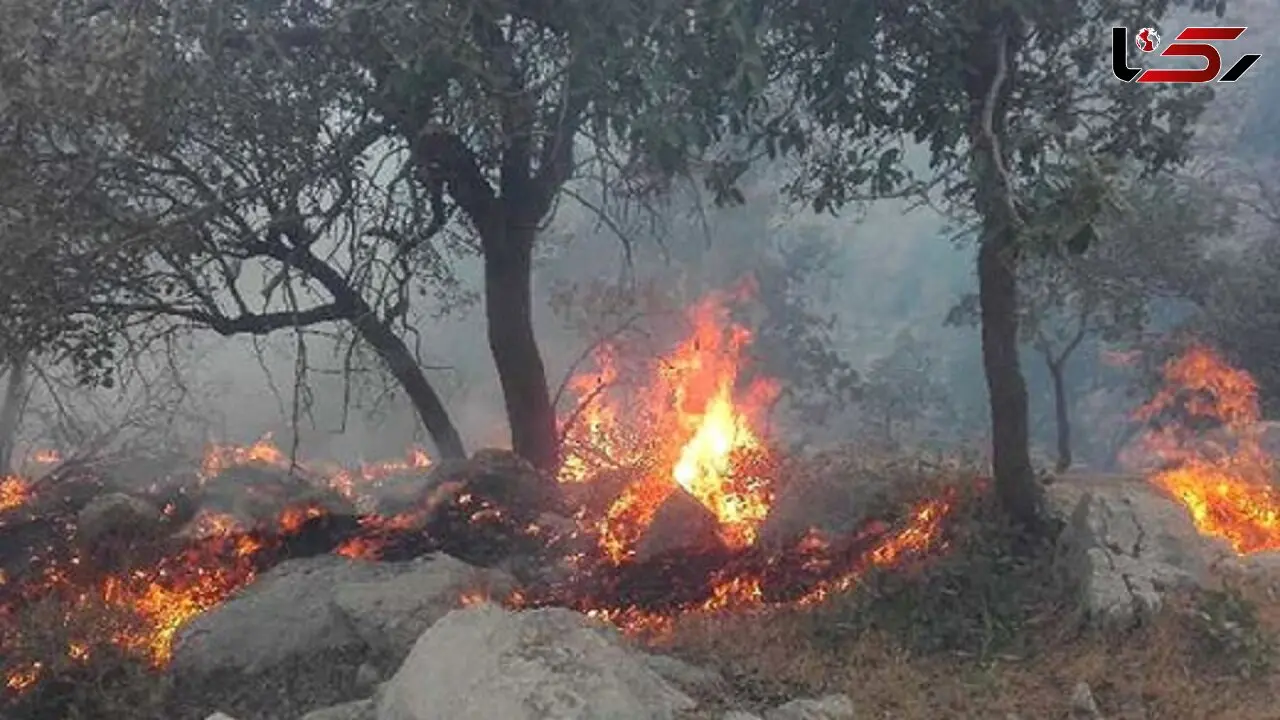 کوه دمه اندیکا خوزستان در آتش می‌سوزد 