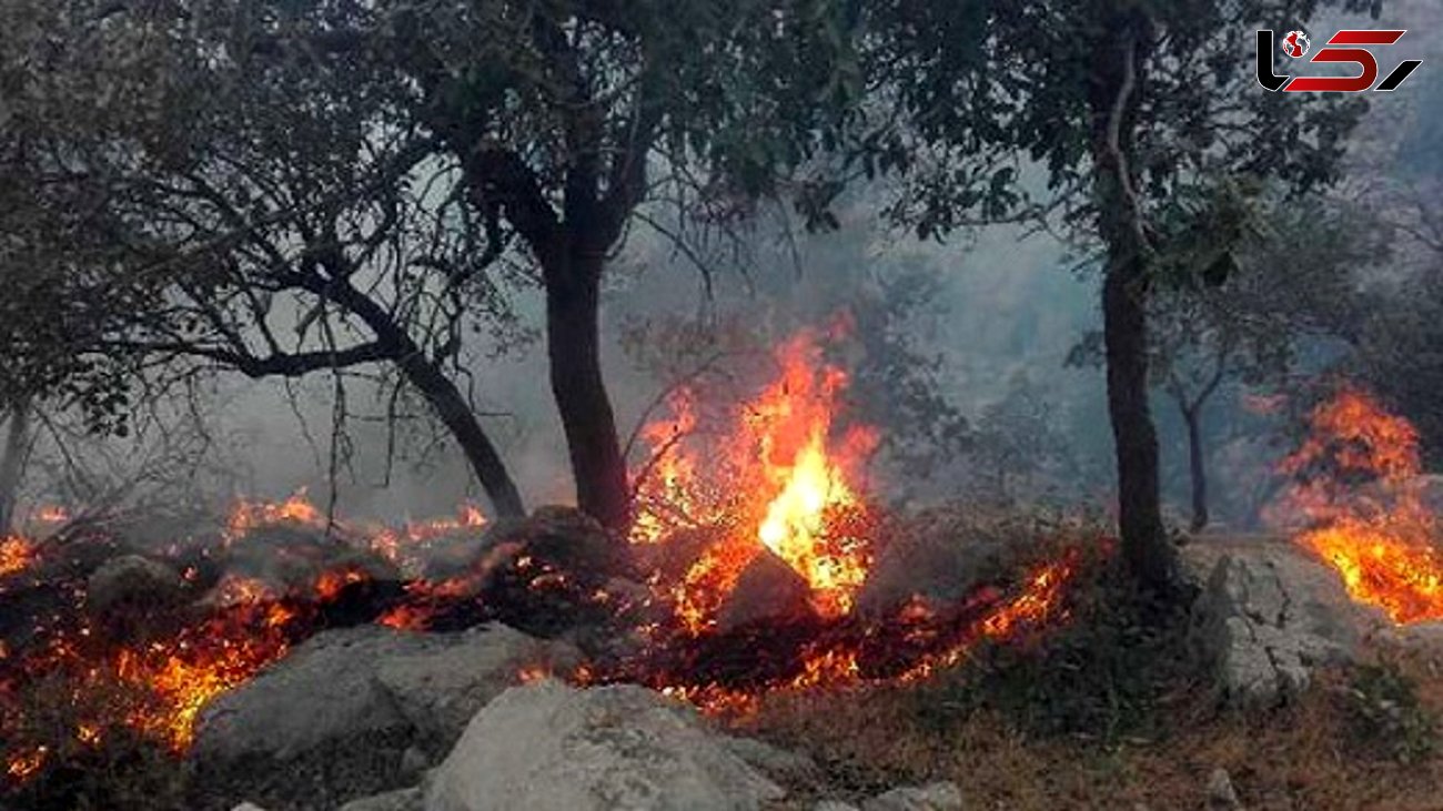 کوه دمه اندیکا خوزستان در آتش می‌سوزد 
