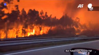 فیلم وحشت آور از جهنم آتشین جنگل های پرتغال / ببینید