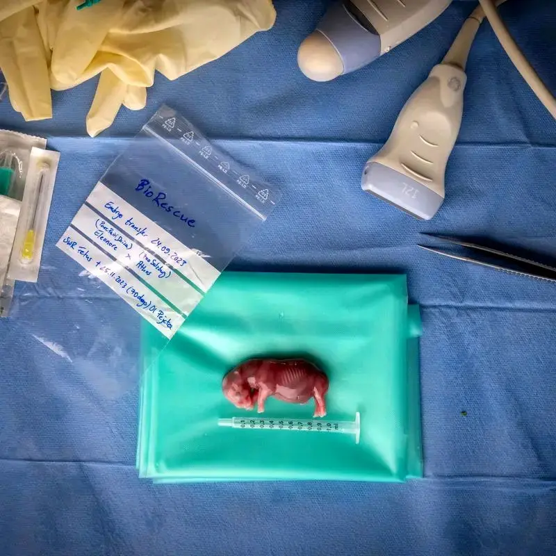 تصاویر علمی