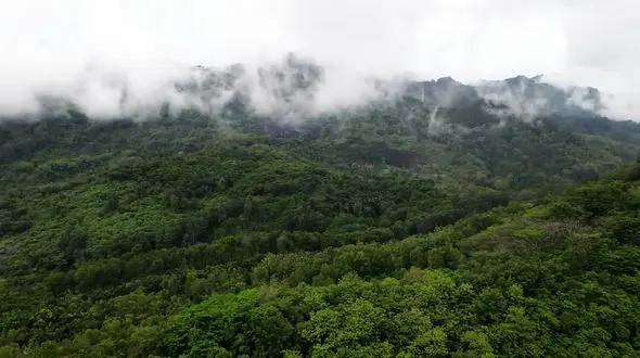 ریلکس کنید / آهنگ بی کلام آرامش بخش + فیلم 