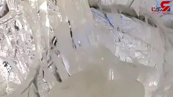 فیلم باورنکردنی از درخت های یخ زده