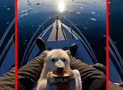 فیلم صحنه شبیه سازی هوش مصنوعی از نجات توله خرس قطبی