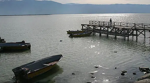 مسافران متخلف برای فرار از تست کرونا به سراغ قایق ها رفتند!