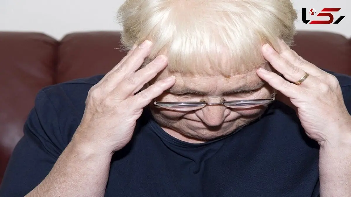 ارتباط حجم مغز و حافظه 