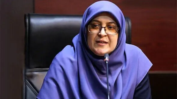 مهاجرانی: دولت برای عبور از ناترازی انرژی، از خودش آغاز کرده است