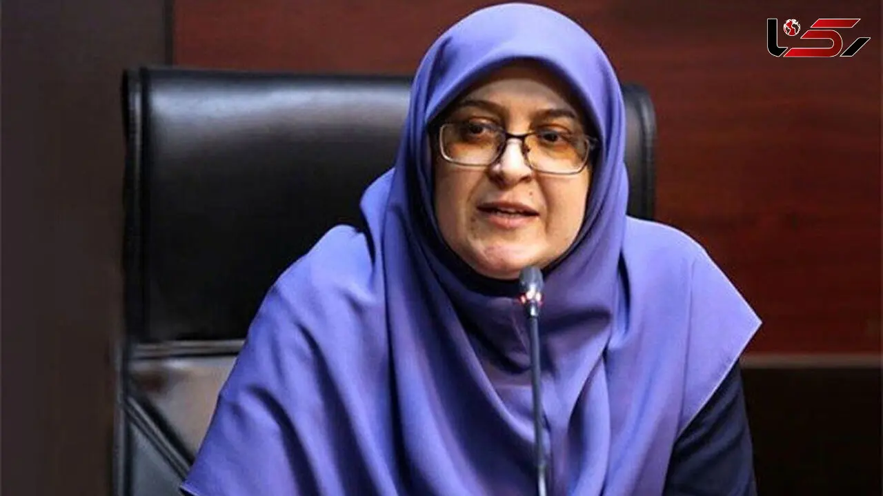 مهاجرانی: دولت برای عبور از ناترازی انرژی، از خودش آغاز کرده است
