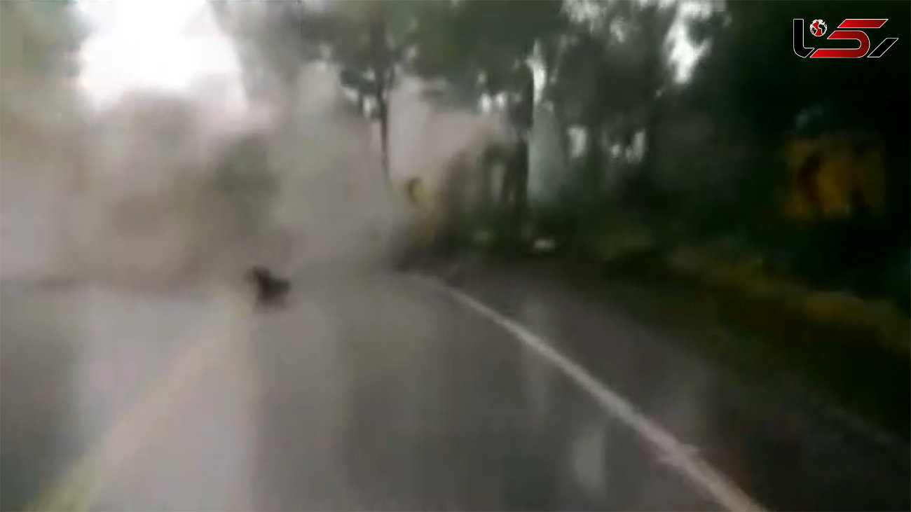 ببینید /لحظه وحشتناک ریزش کوه روی جاده! / خودروها زیر باران سنگ له شدند + فیلم