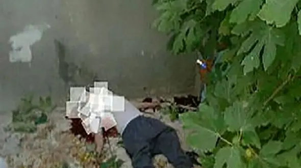 بخشش متهم پرونده قتل به خاطر یک مشت گردو !