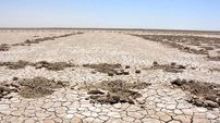 تشدید ریزگردها در جنوب شرق ایران با خشک شدن جازموریان / لزوم توسعه ظرفیت های خاص اشتغالزایی در جنوب کرمان + فیلم