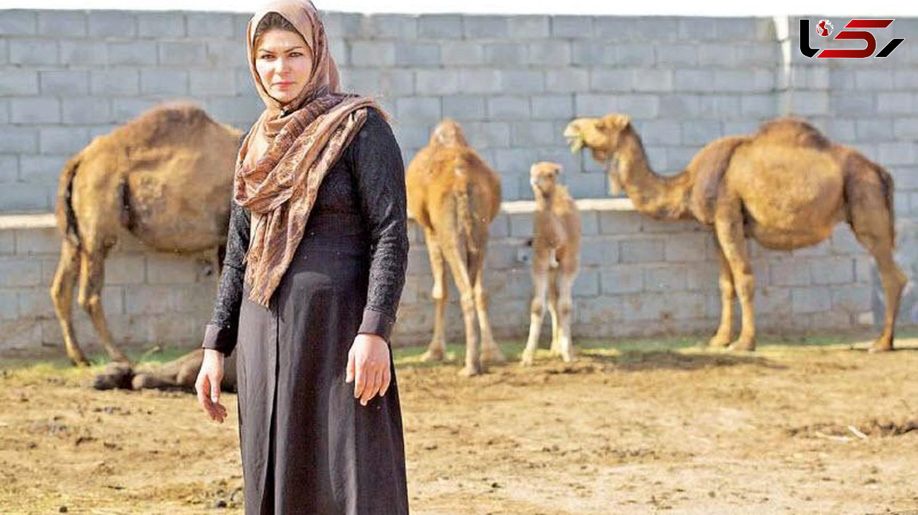 این زن سرسخت شتردار ایرانی بدون شترهایش نمی تواند زندگی کند +عکس