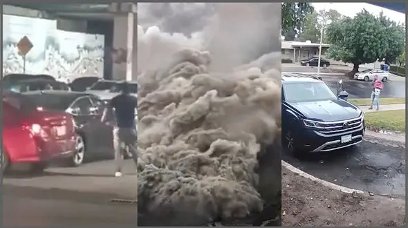 ببینید / از حمله پلنگ به سگ ژرمن تا مهمان ناخوانده در سرویس بهداشتی + 10 فیلم حادثه ای 