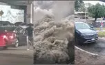 ببینید / از حمله پلنگ به سگ ژرمن تا مهمان ناخوانده در سرویس بهداشتی + 10 فیلم حادثه ای 
