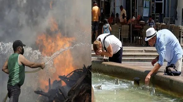 موج گرما در این دو کشور ۳۲۲ قربانی گرفت / فقط در یک هفته 