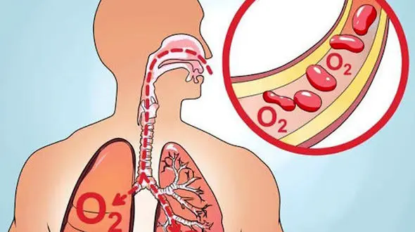 کاهش سطح اکسیژن خون انسان را دچار چه اختلالاتی می‌کند؟