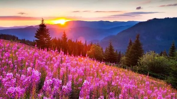 تعبیر فال ابجد امروز 6 مرداد ماه 1405