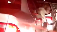 فیلم لحظه سگ گردانی باخودروی دولتی در اهواز 