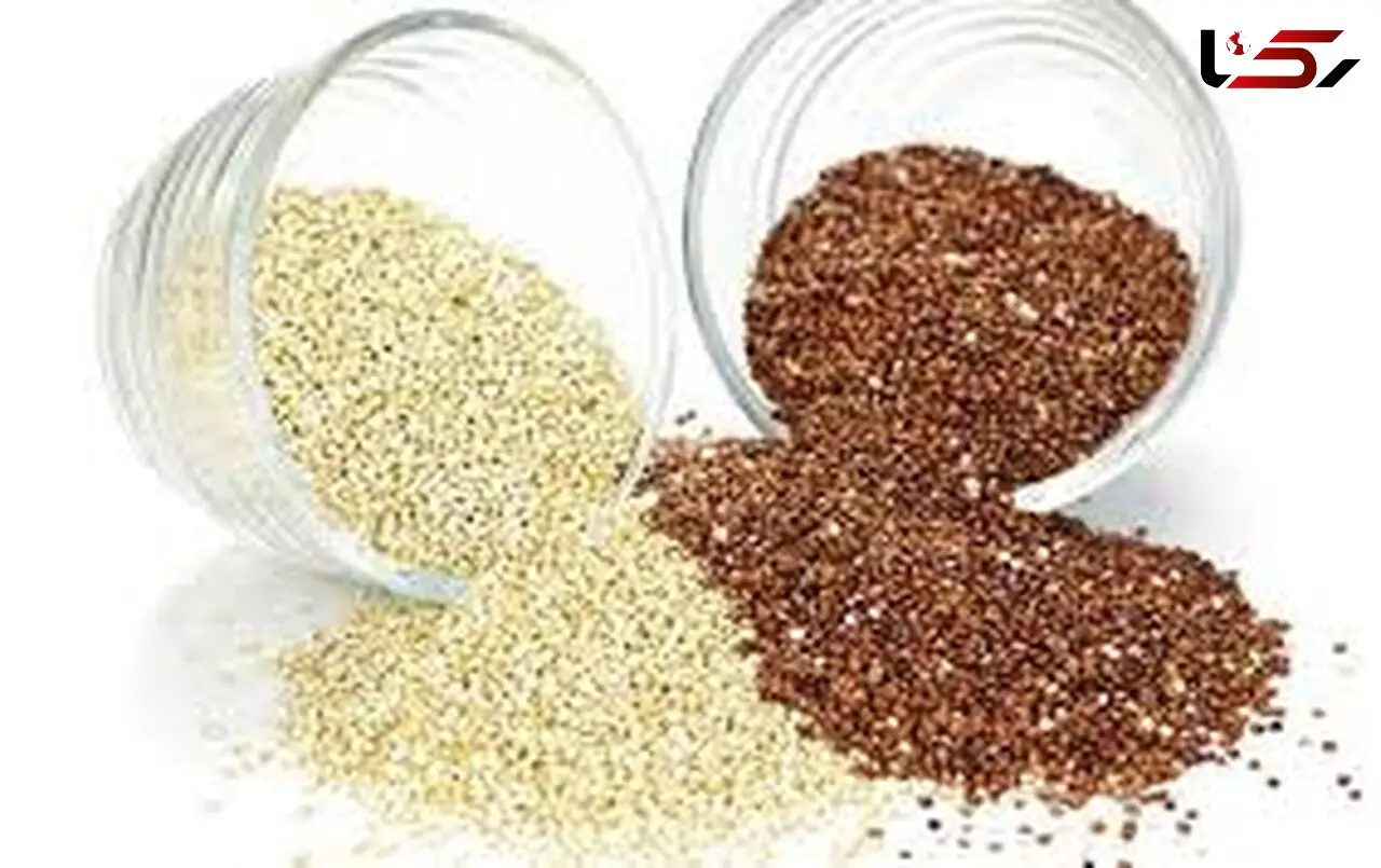 دانه ای تیره سرشار از آهن