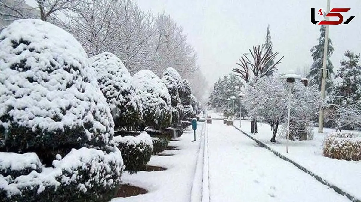سرما دشمن بیماران قلبی