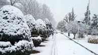 برف 10 استان کشور را سفید پوش خواهد کرد / در تهران خبری نیست