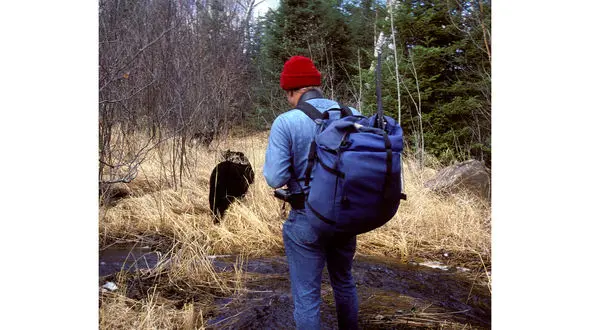 خرس سیاه پیر مرد را تکه پاره کرد و خورد! / پیرمرد در حال چای خوردن بود!