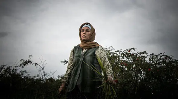 ستاره اسکندری در گیله‌وا 