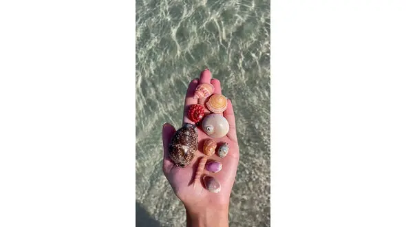 فال ابجد امروز / 7 شهریور + فیلم