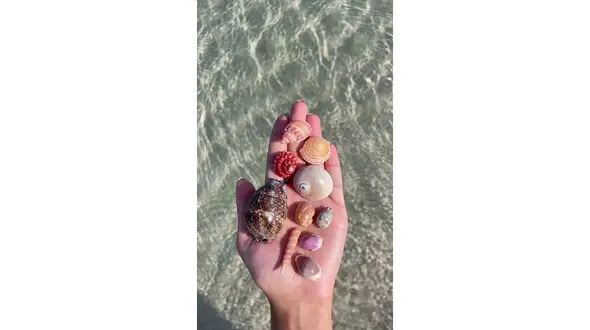 فال ابجد امروز / 7 شهریور + فیلم