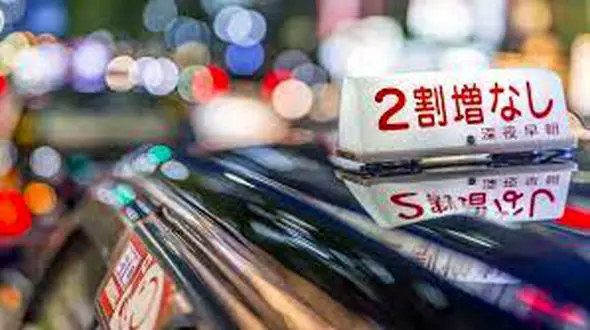 حکم زندان برای راننده تاکسی/یک کبوتر را زیر گرفته بود!