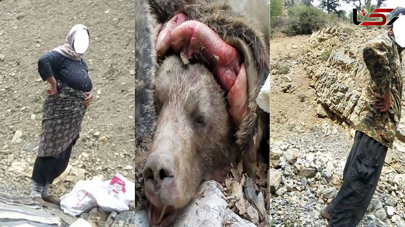 زوج بی رحم خرس قهوه ای را جلوی چشمان کودکش کشتند و مثله کردند + فیلم و عکس