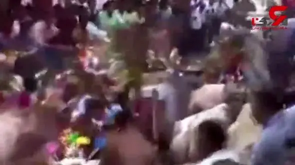 در این شهر گاوها پسرهای مجرد را لگد مال می کنند تا بختشان باز شود !+فیلم