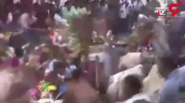 در این شهر گاوها پسرهای مجرد را لگد مال می کنند تا بختشان باز شود !+فیلم