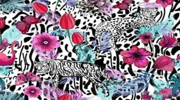 تست : در نگاه اول چه حیوانی می بینید ؟