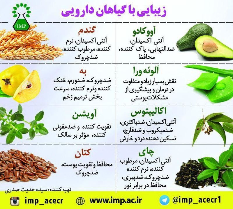 گیاهان دارویی زیبایی