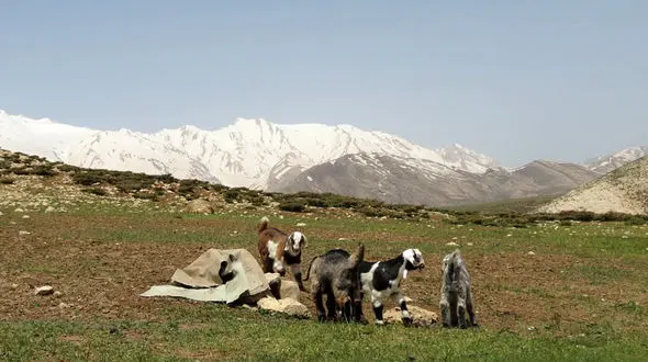 چلگرد کجاست؟