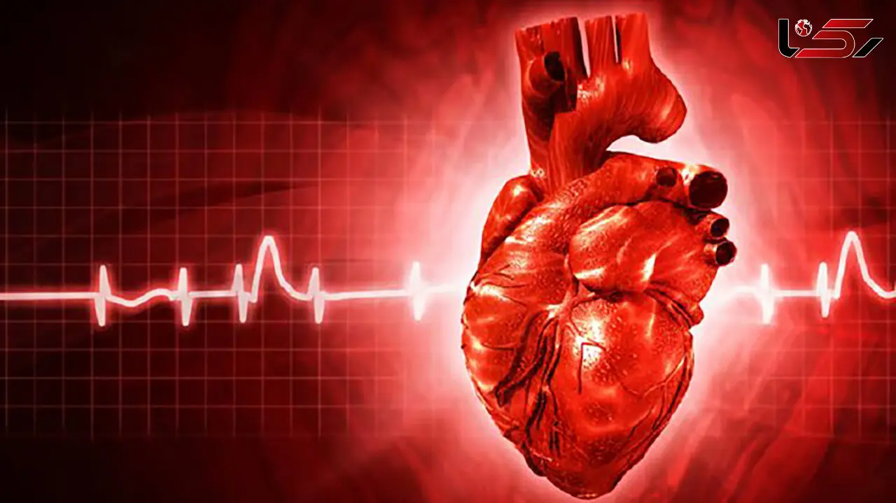 تپش قلب در زمان استراحت را جدی بگیرید؛ چه بیماری‌ هایی پشت این علامت پنهان هستند؟