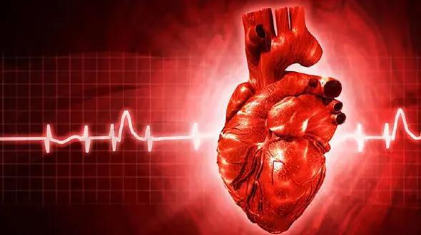تپش قلب در زمان استراحت را جدی بگیرید؛ چه بیماری‌ هایی پشت این علامت پنهان هستند؟