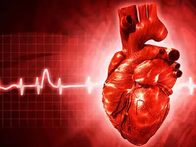 تپش قلب در زمان استراحت را جدی بگیرید؛ چه بیماری‌ هایی پشت این علامت پنهان هستند؟