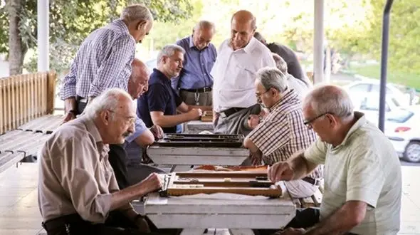 مشاوران بین المللی به کمک بازنشستگان ایرانی آمدند