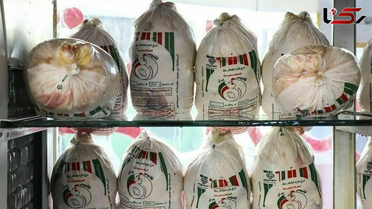کشف 180 تُن مرغ احتکار شده در جنوب تهران