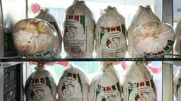 کشف 180 تُن مرغ احتکار شده در جنوب تهران